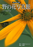 野の花写真館