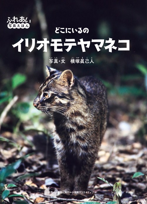 どこにいるの イリオモテヤマネコ