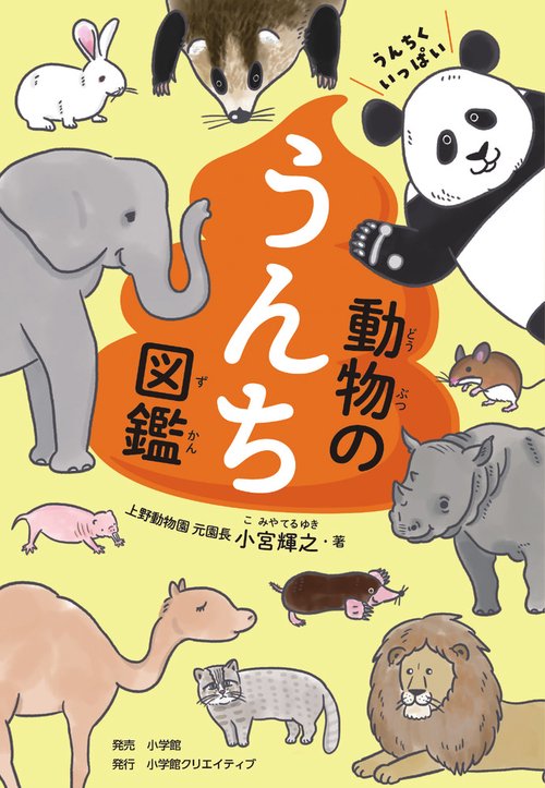 うんちくいっぱい 動物のうんち図鑑