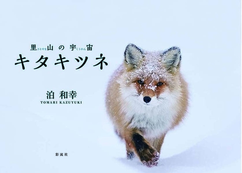 里山の宇宙　キタキツネ