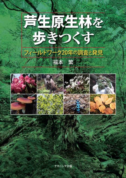 芦生原生林を歩きつくす
