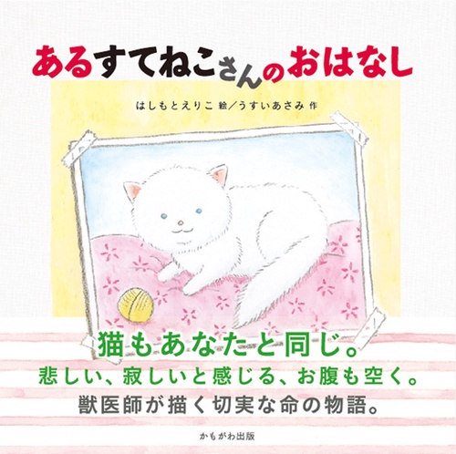 あるすてねこさんのおはなし