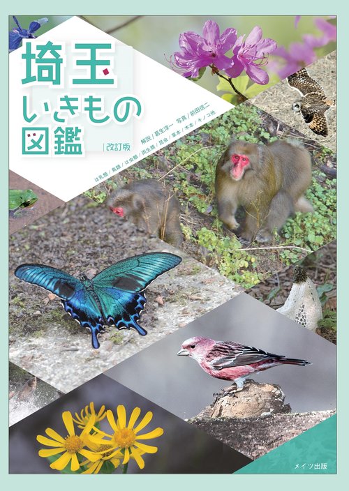 埼玉いきもの図鑑 ほ乳類/鳥類/は虫類/両生類/昆虫/草本/木本/キノコ他