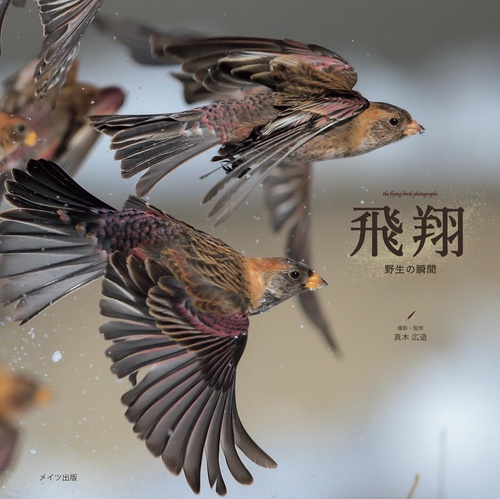 飛翔 野生の瞬間 the flying birds photographs