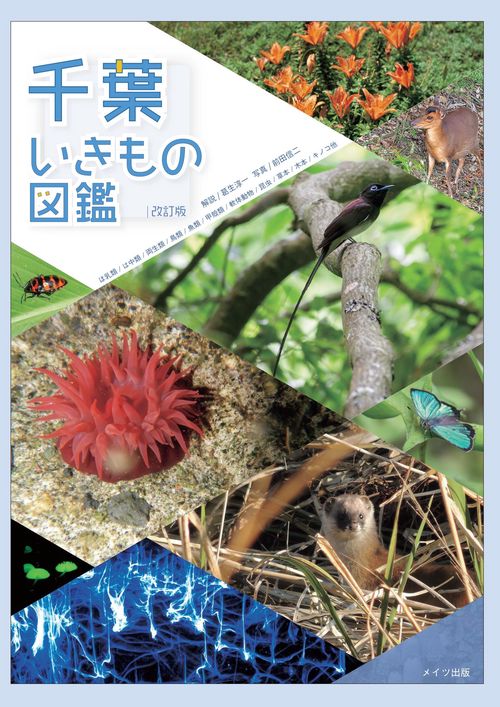 千葉いきもの図鑑 ほ乳類/は虫類/両生類/鳥類/魚類/甲殻類/軟体動物/昆虫/草本/木本/キノコ他