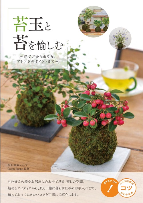苔玉と苔を愉しむ 育て方から飾り方、アレンジのポイントまで