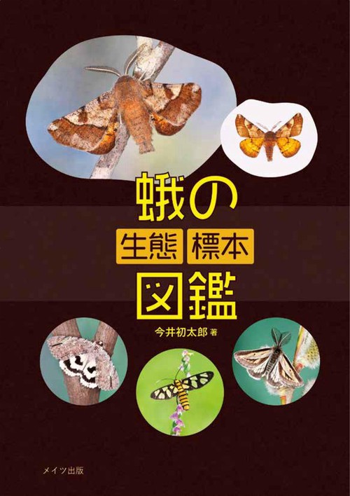 蛾の生態標本図鑑