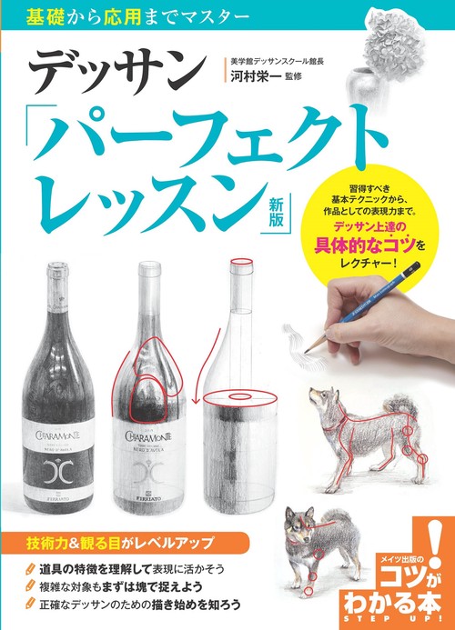 基礎から応用までマスター デッサン パーフェクトレッスン 新版