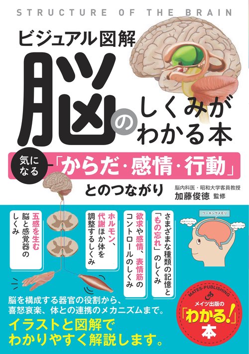 ビジュアル図解 脳のしくみがわかる本 気になる「からだ・感情・行動」とのつながり