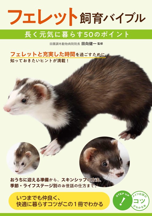 フェレット 飼育バイブル 長く元気に暮らす50のポイント