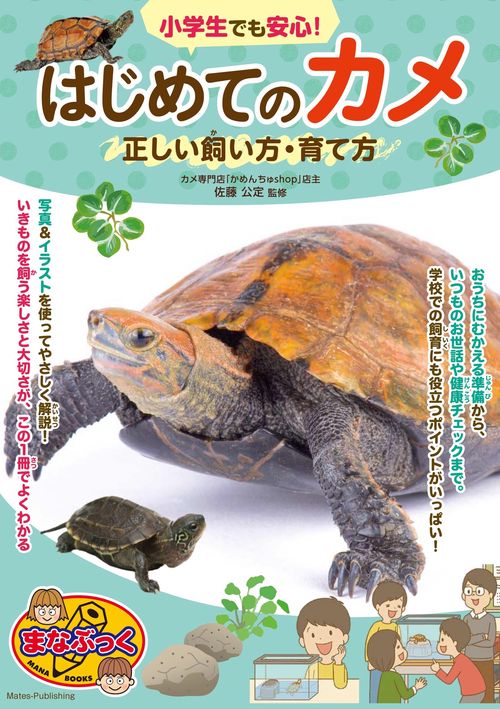小学生でも安心! はじめてのカメ 正しい飼い方・育て方