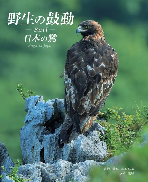 野生の鼓動 Part1 日本の鷲
