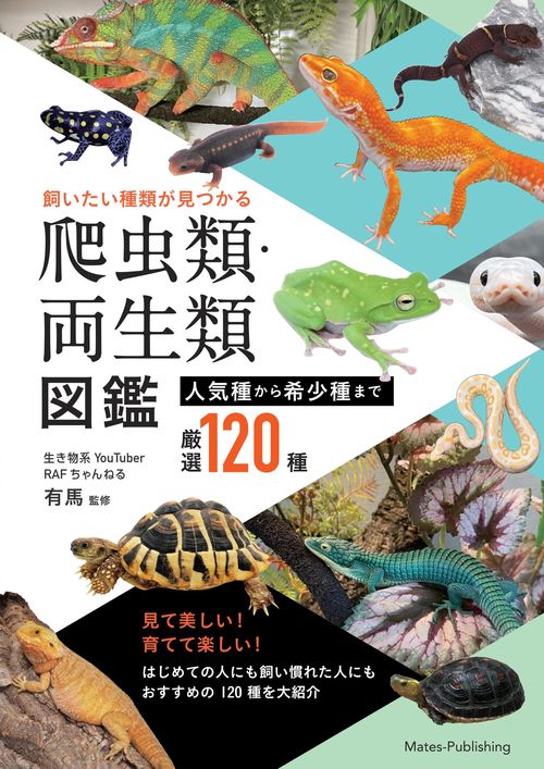飼いたい種類が見つかる 爬虫類・両生類図鑑 人気種から希少種まで厳選120種