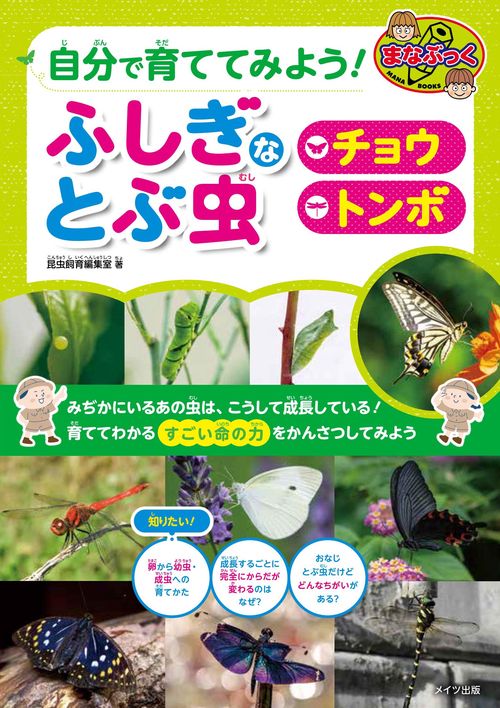 自分で育ててみよう! ふしぎなとぶ虫 「チョウ」「トンボ」 – 丸善