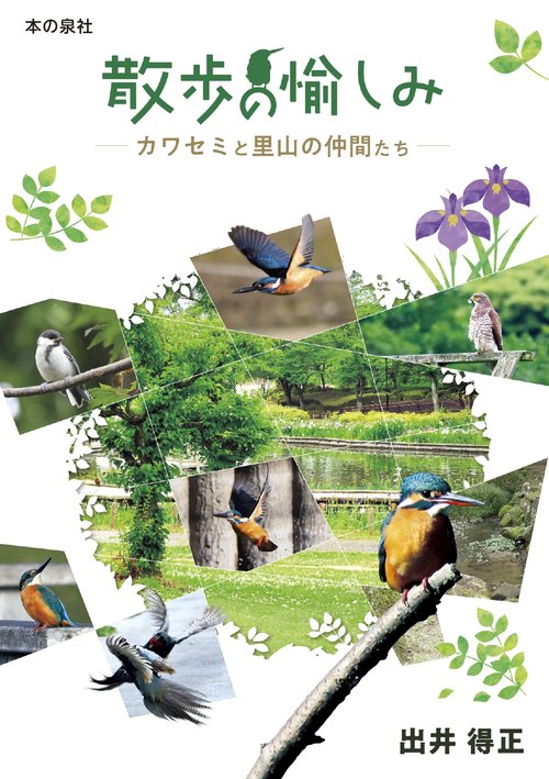 散歩の愉しみ　カワセミと里山の仲間たち