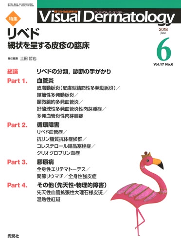 Ｖｉｓｕａｌ　Ｄ．　２０１８年６月号　Ｖｏｌ．１７　Ｎｏ．６