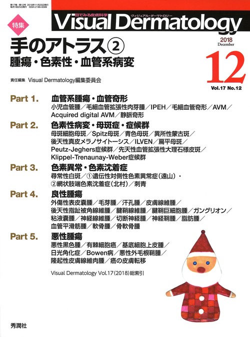 Ｖｉｓｕａｌ　Ｄ．　２０１８年１２月号Ｖｏｌ．１７Ｎｏ．１２
