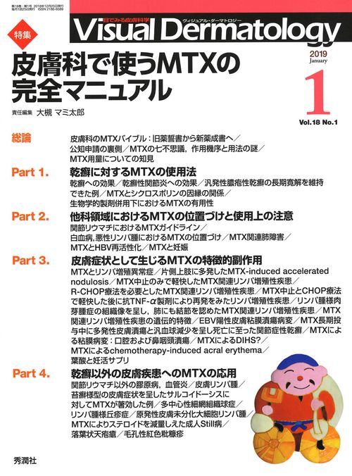 Ｖｉｓｕａｌ　Ｄ．　２０１９年１月号　Ｖｏｌ．１８　Ｎｏ．１