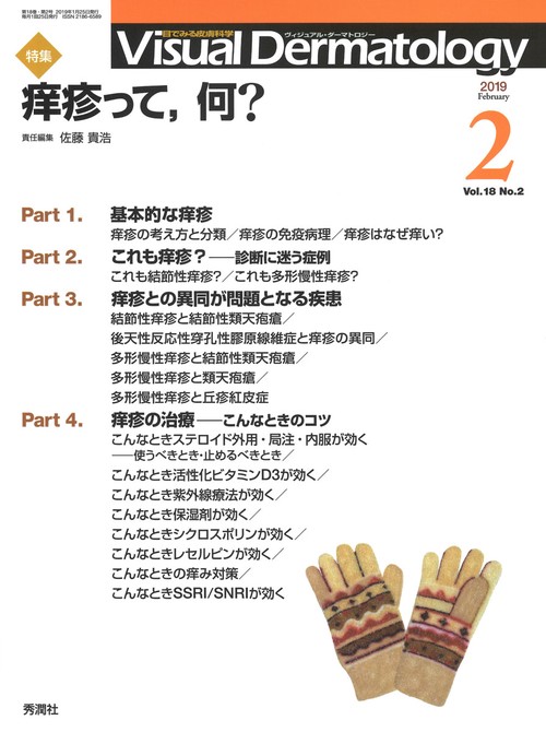 Ｖｉｓｕａｌ　Ｄ．　２０１９年２月号　Ｖｏｌ．１８　Ｎｏ．２