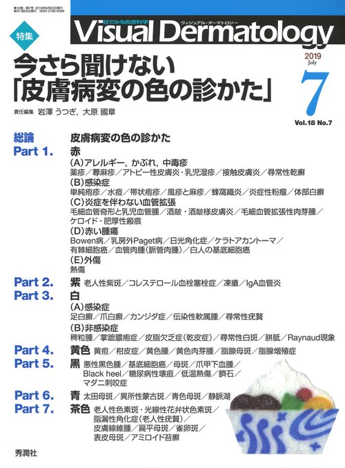 Ｖｉｓｕａｌ　Ｄ．　２０１９年７月号　Ｖｏｌ．１８　Ｎｏ．７