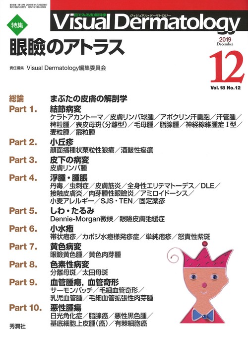 Ｖｉｓｕａｌ　Ｄ．　２０１９年１２月号　Ｖｏｌ．１８　Ｎｏ．１２