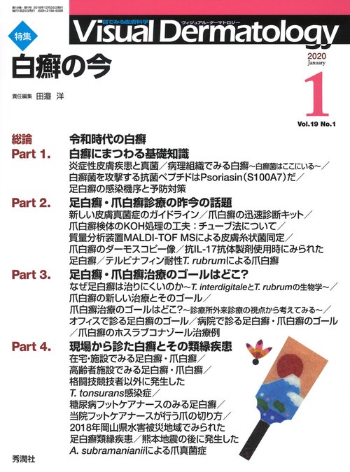 Ｖｉｓｕａｌ　Ｄ．　２０２０年１月号　Ｖｏｌ．１９　Ｎｏ．１