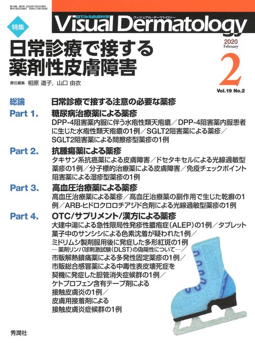 Ｖｉｓｕａｌ　Ｄ．　２０２０年２月号　Ｖｏｌ．１９　Ｎｏ．２