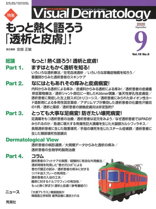 Ｖｉｓｕａｌ　Ｄ．　２０２０年９月号　Ｖｏｌ．１９　Ｎｏ．９