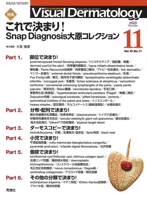 Ｖｉｓｕａｌ　Ｄ．　２０２０年１１月号　Ｖｏｌ．１９　Ｎｏ．１１