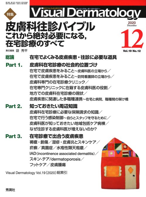 Ｖｉｓｕａｌ　Ｄ．　２０２０年１２月号　Ｖｏｌ．１９　Ｎｏ．１２