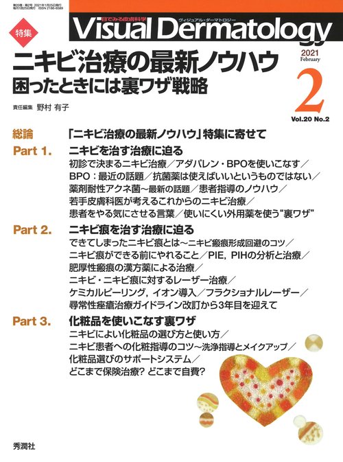 Ｖｉｓｕａｌ　Ｄ．　２０２１年２月号　Ｖｏｌ．２０　Ｎｏ．２