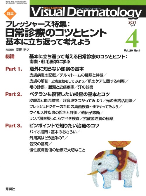 Ｖｉｓｕａｌ　Ｄ．　２０２１年４月号　Ｖｏｌ．２０　Ｎｏ．４