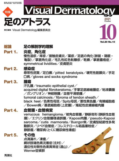 Ｖｉｓｕａｌ　Ｄ．　２０２１年１０月号　Ｖｏｌ．２０　Ｎｏ．１０