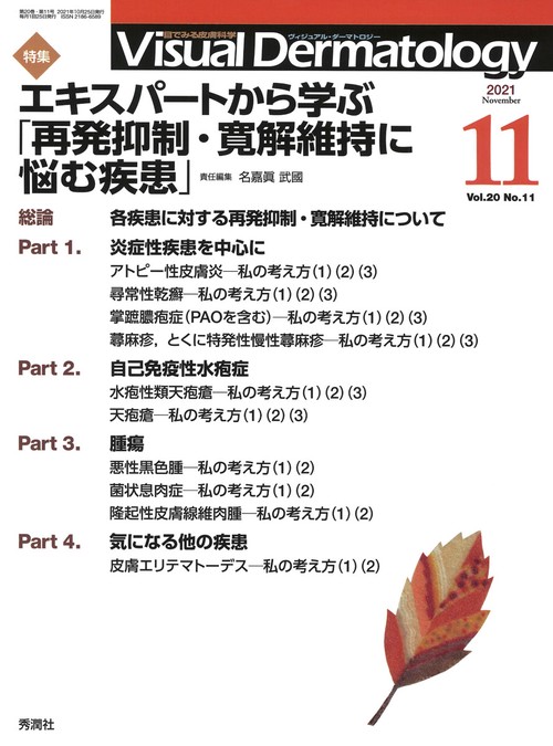 Ｖｉｓｕａｌ　Ｄ．　２０２１年１１月号　Ｖｏｌ．２０　Ｎｏ．１１