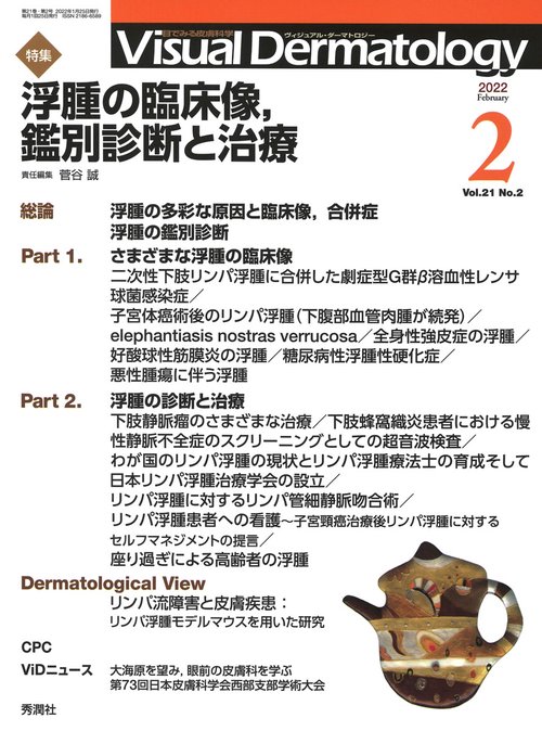 Ｖｉｓｕａｌ　Ｄ．　２０２２年２月号　Ｖｏｌ．２１　Ｎｏ．２