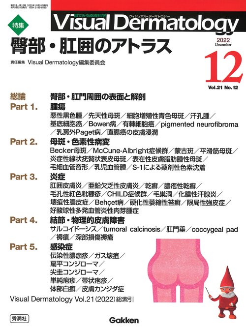 Ｖｉｓｕａｌ　Ｄ．　２０２２年１２月号　Ｖｏｌ．２１　Ｎｏ．１２