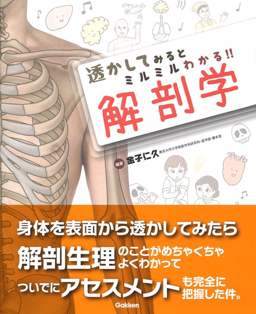 透かしてみるとミルミルわかる！！　解剖学