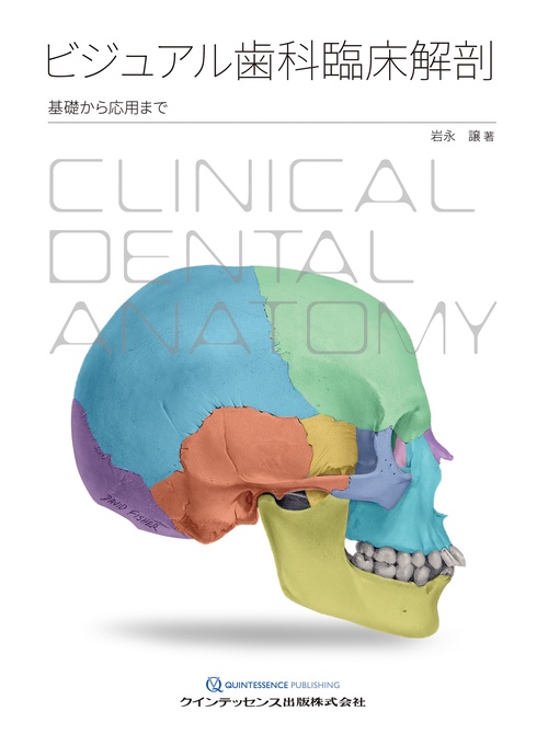 ビジュアル歯科臨床解剖
