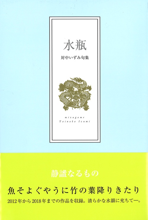 水瓶 対中いずみ句集