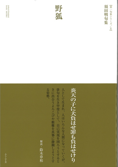 野狐