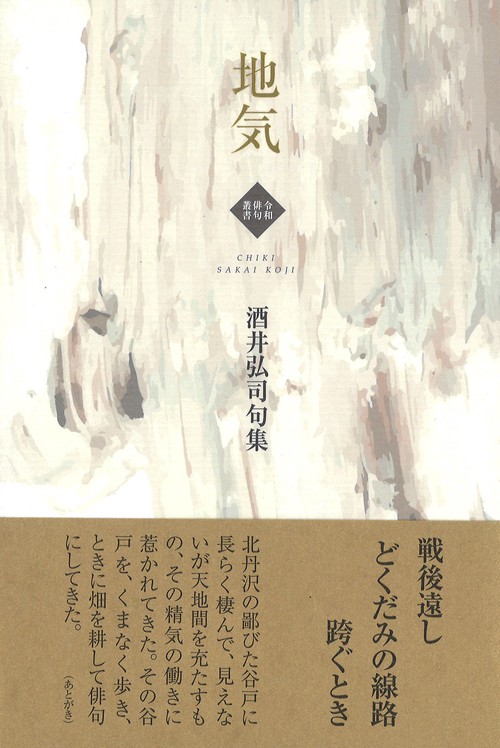 地気
