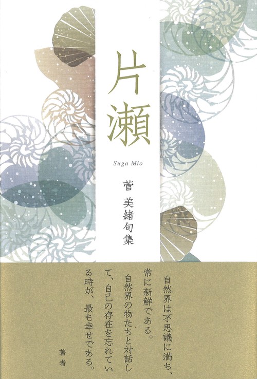 片瀬