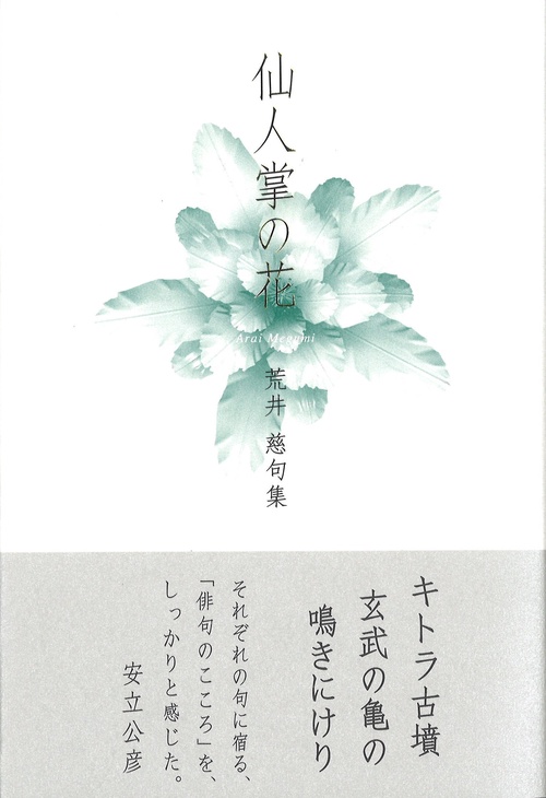 仙人掌の花
