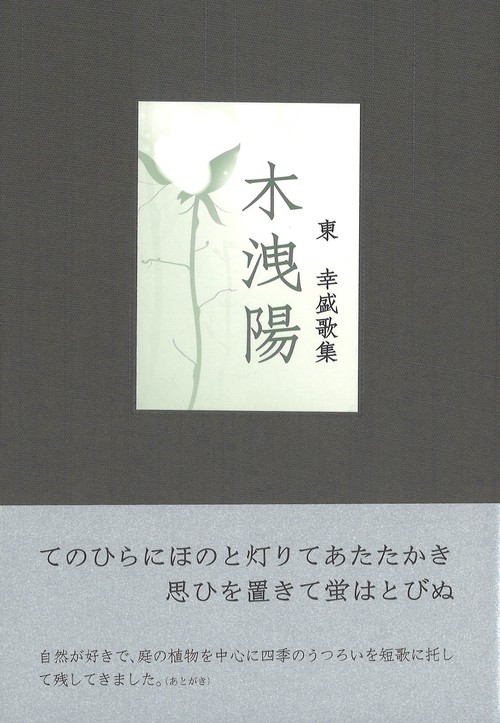 木洩陽