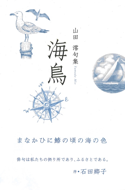 海鳥