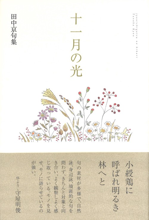 十一月の光