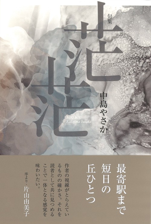 茫茫