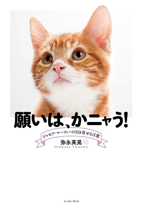 願いは、かニャう！