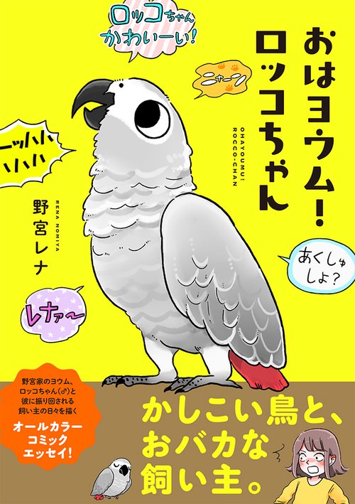 おはヨウム！ロッコちゃん