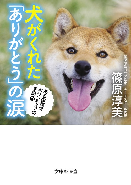 犬がくれた「ありがとう」の涙